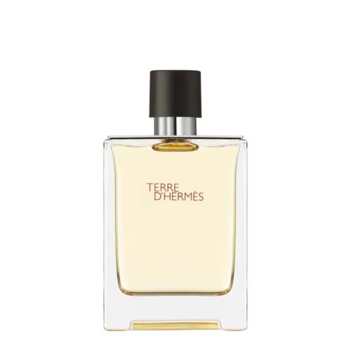 Hermès Terre d’Hermès Eau de Toilette 100ml