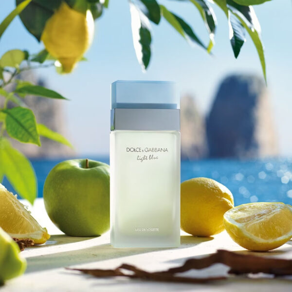 Dolce&Gabbana Light Blue Eau de Toilette – Bild 2