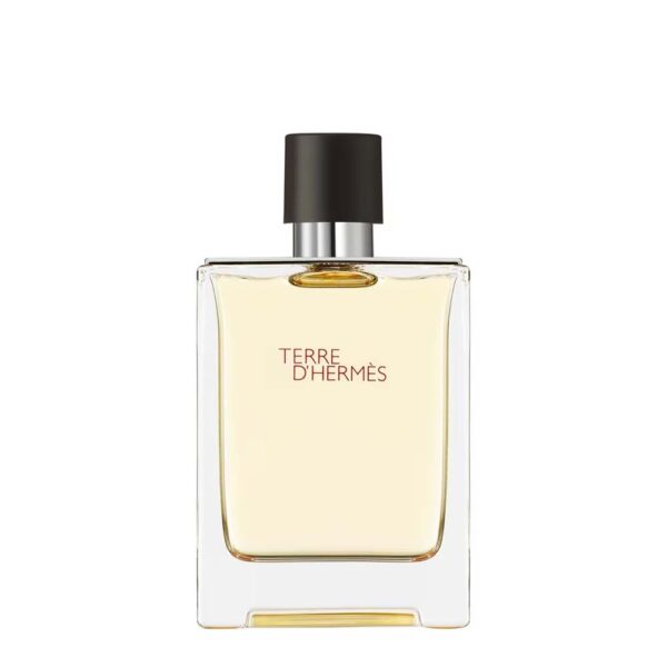 Hermès Terre d'Hermès Eau de Toilette