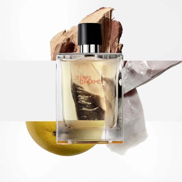 Hermès Terre d'Hermès Eau de Toilette – Bild 2